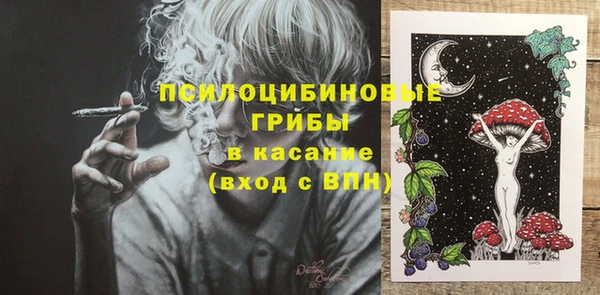 стафф Алзамай