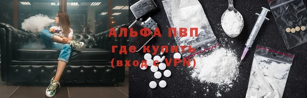 стафф Алзамай